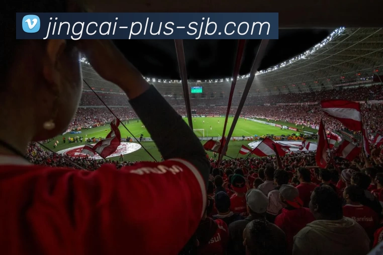 竞彩网，竞彩网官网，竞彩网官方网站，竞彩网入口，竞彩网APP平台生态图